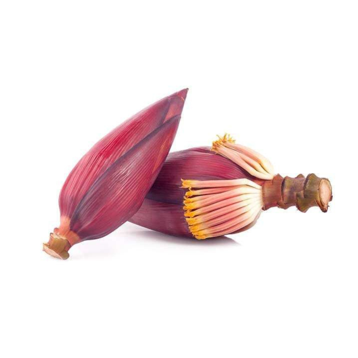 Banana Flower