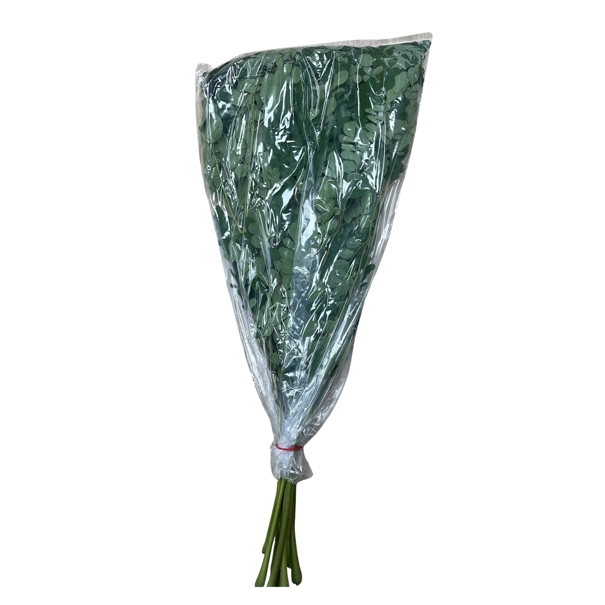 Drumstick leaves