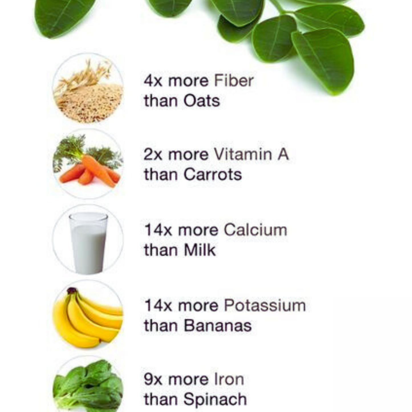 Moringa Powder - 125 gms