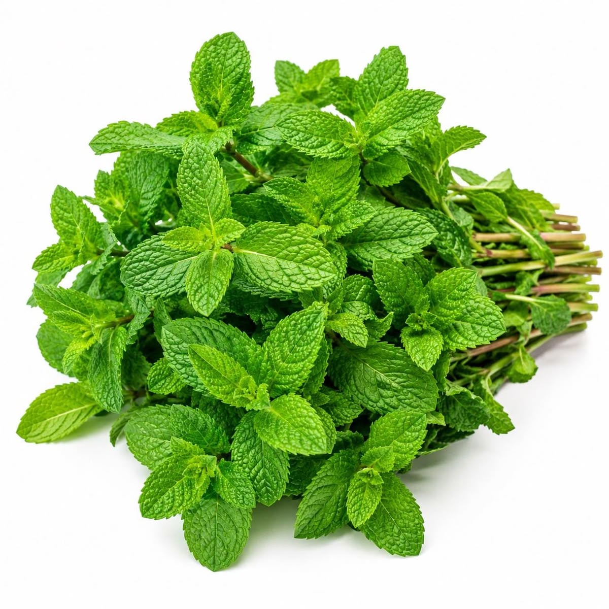 Mint Bunch