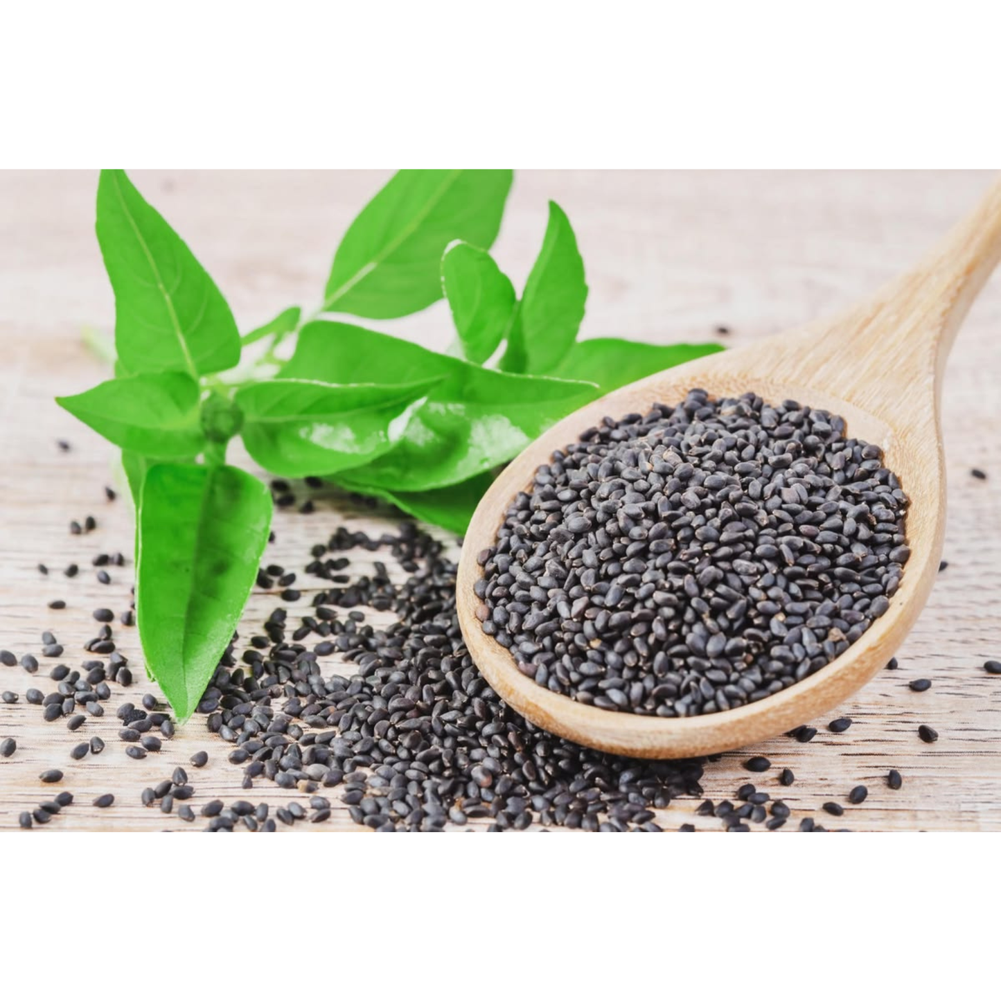 Sabja Seeds