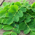 Drumstick leaves