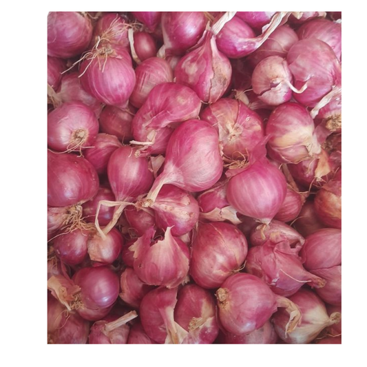 Shallots - Small onions