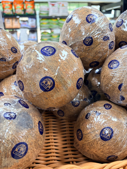 Coconut Wrapped