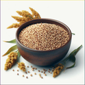 Amarnath Seeds