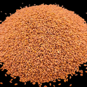 Halim Seeds