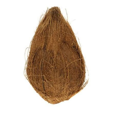 Puja Coconut
