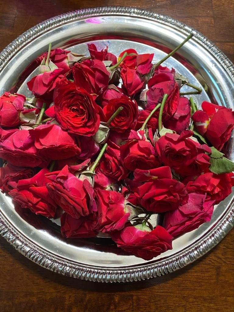Rose flowers