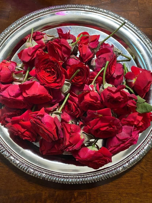 Rose flowers