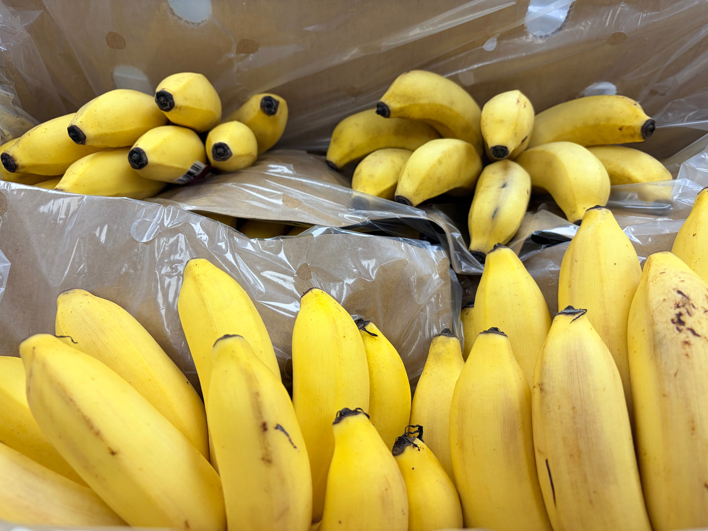 Small Banana