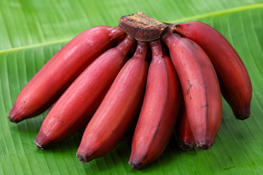 Red Banana